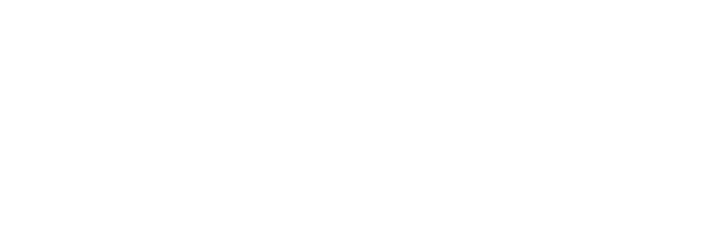 E.L plataforma: ANCAP